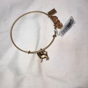 Rare Alex and Ani Monopoly Cat Bracelet